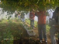 /album/estufa-da-ebs-tomas-de-borba/imagem-016-jpg/